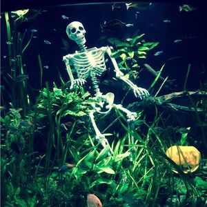 Meet your Posher, Shelly